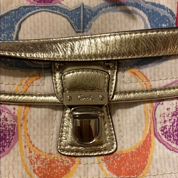 Adorable Multi Color Coach - Picture 2 of 6